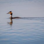 Danube Delta - 2-Day Tour from Bucharest - Discover the Danube Delta, a UNESCO World Heritage Site