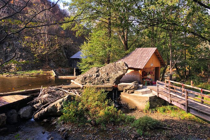Danube Gorge & Banat Waterfalls - Experiencing the Danube Gorge from the Water