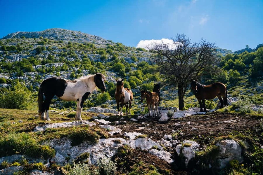 Dawn on the top of Biokovo - Reaching the Highest Peak: Sv. Jure at 1762 Meters and Dawn Viewing