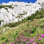 Day Hike PRIVATE - Piatra Craiului National Park - Custom Route Tailored to Your Hiking Abilities