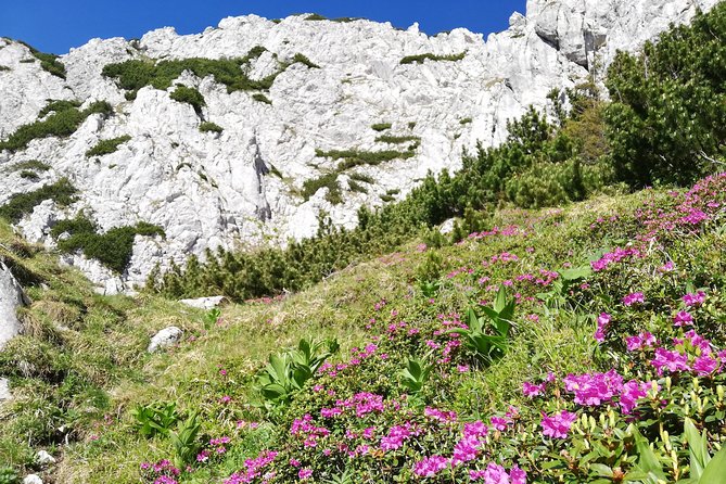 Day Hike PRIVATE - Piatra Craiului National Park - Custom Route Tailored to Your Hiking Abilities