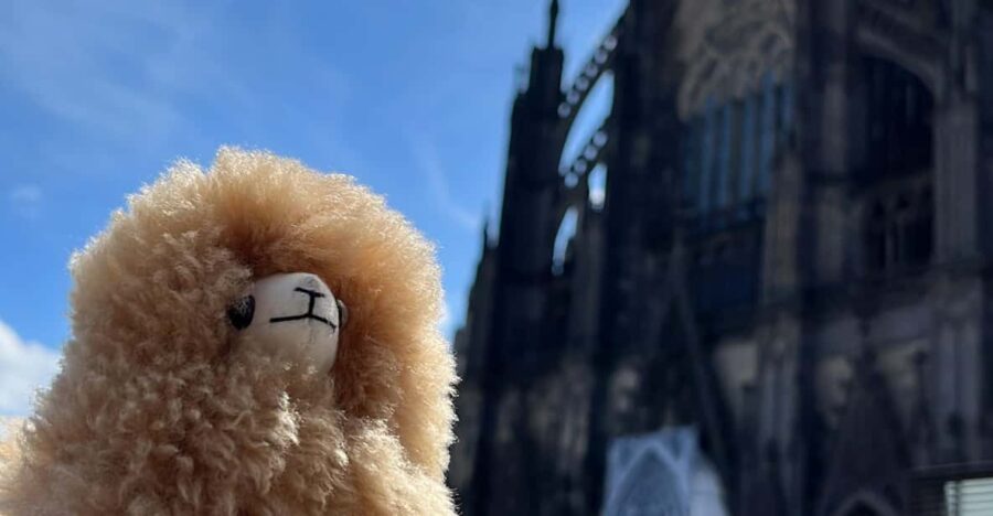 Day tour Aachen & Cologne from Brussels - Departure from Brussels and Early Start