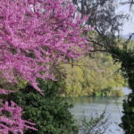 Day tour from Saranda/Ksamil:Gjirokaster +Blue Eye & Lekursi - Visiting the Blue Eye Spring: Nature’s Vivid Masterpiece