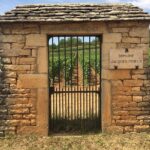 Day tour of the road of the Grands Crus vineyards of Burgundy. - Starting Point in Beaune and Optional Walking Tour