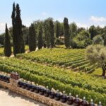Day Tour Perfumery and Wine - Visiting Grasse: The Perfume Capital of the World