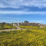 Day Tour to Famagusta, Ghost Town & Ancient Salamis - Crossing the UN Buffer Zone into Northern Cyprus