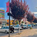 Day Tour to Fier  Discover Albanias Historical Heart - Departure from Tirana: Convenient Pickup at Oxygen Boutique Hotel