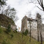 Day trip Bran Castle, Rasnov Fortress and Bear Sanctuary - Discovering Rasnov Fortress’s Mountain Majesty