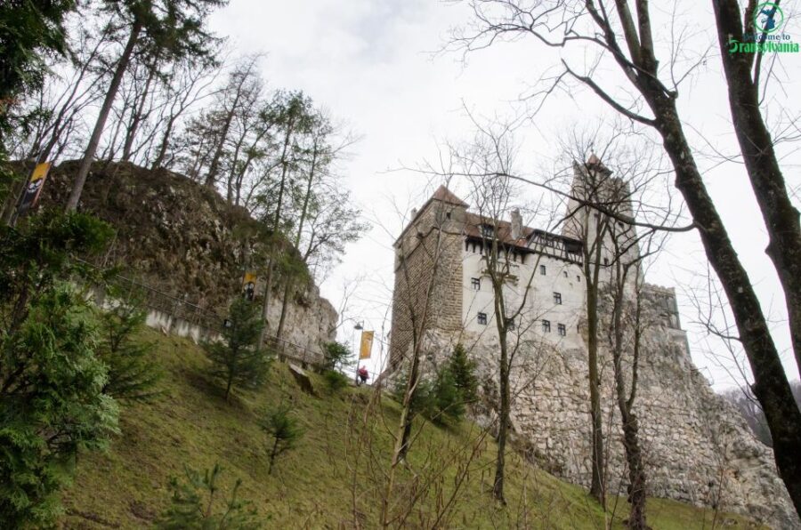 Day trip Bran Castle, Rasnov Fortress and Bear Sanctuary - Discovering Rasnov Fortress’s Mountain Majesty