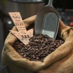 Day Trip From Riga to Hill of Crosses & Chocolate Workshop - Round-Trip Transfers from Riga Make the Journey Easy