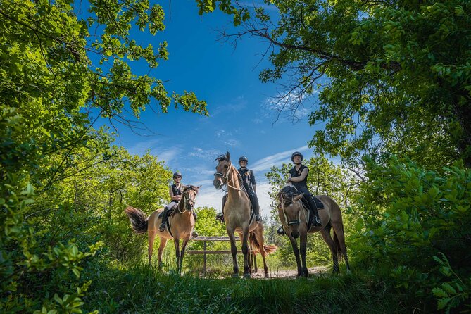 Day Trip to Fontainebleau : Horse Riding, Gastronomy and Castle - Horseback Riding in Fontainebleau Forest: Scenic and Accessible