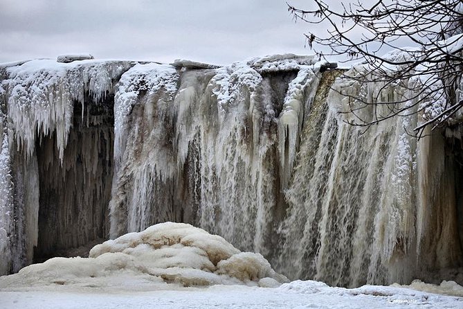 Day Trip to Lahemaa National Park - Walking Through Viru Bog