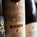 Day trip to Republic of Moldova - visit Chisinau and Cricova Winery - Exploring Capriana Monastery: Moldova’s Historic Religious Center