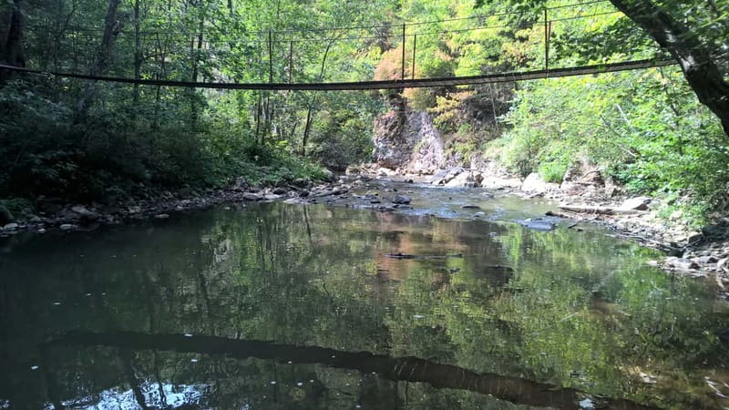 Day Trip to the Land of Hidden Caves - Scenic Drives through Transylvania Countryside to Varghis Gorge