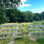 Daytrip Bike Tour on the Swedish Countryside Private - Key Points