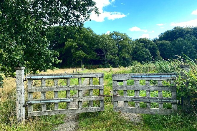 Daytrip Bike Tour on the Swedish Countryside Private - Key Points