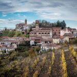 Degustazione di vini del Monferrato con visita della cantina - The Winery: Azienda Agricola Mauro Rei