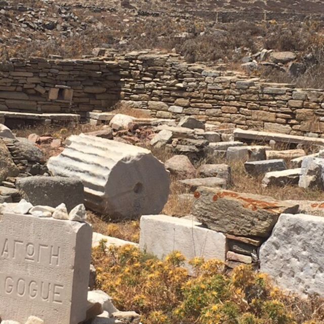 Delos Synagogue: Jewish Heritage Private Tour from Mykonos - Meeting Point and Transportation from Mykonos Old Port