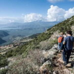 Delphi: Ancient Footpath Guided Hike - Walking the Path of Ancient Greek Worshipers