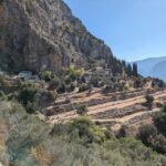 Delphi and Hosios Loukas Monastery: Private Tour from Athens - Walking the Sacred Way at Delphi