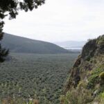 Delphi: Easy Hike on Ancient Path through the Olive Groves - Starting Point and Logistics in Delphi