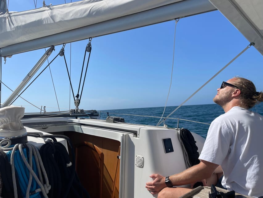 Denia: Whale and Dolphin Watching Morning Experience - Expert Guidance and Marine Education on Board