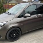 Departure Transfer Bologna City to Bologna Airport BLQ by Van - Meeting Point at Bologna Guglielmo Marconi Airport