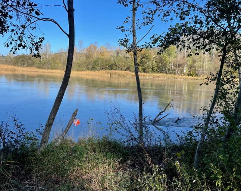 Detective Club: a nature investigation game for the whole family! - Starting Point and Variants Based on Location