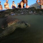 Didim: Dalyan Tour with Turtle Beach, Mud Bath & Lunch - Navigating the Scenic Dalyan Canal and Riverboat Experience