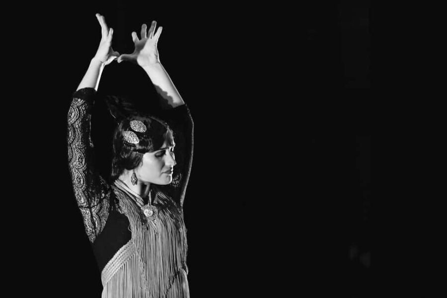 Dinner and UNESCO-protected flamenco show, in a private van from Alicante - The UNESCO-Protected Flamenco Show: An Artistic Highlight