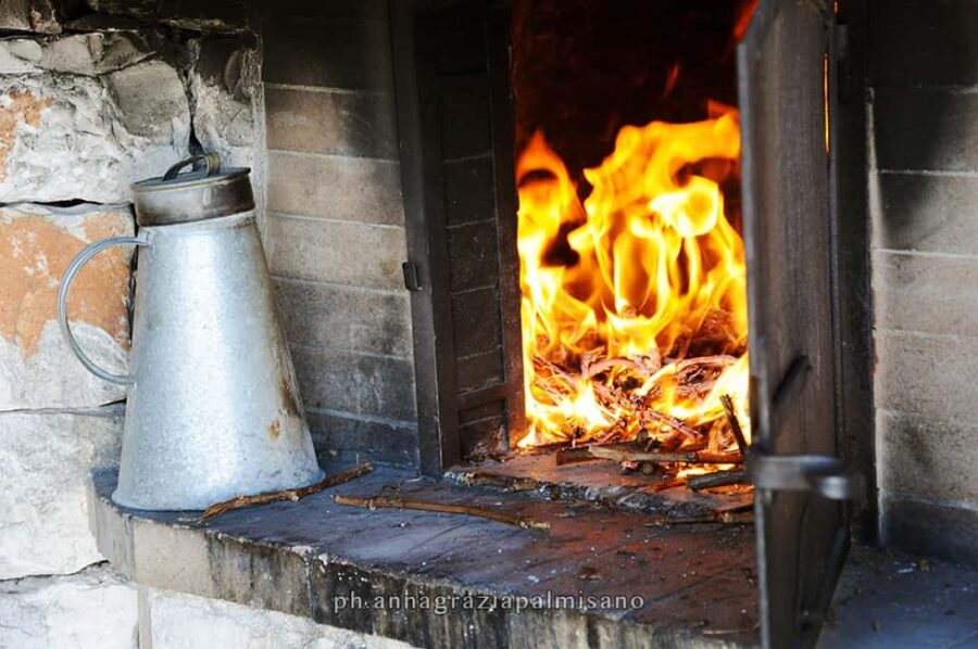 Dinner in the vineyard and wine tasting under the stars - The Menu: A Taste of Apulia’s Culinary Heritage