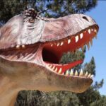 Dinosaurs Park - Family Half day tour - Visiting the Museu da Lourinhã: A Treasure Trove of Fossil Exhibits