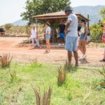 Discover Aloe: A Farm Walk & Workshop - The Role of Knowledgeable Guides and Instructors
