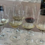 Discover Arrábida: Wine and Scenic Wonders - Starting Point and Transportation in Lisbon