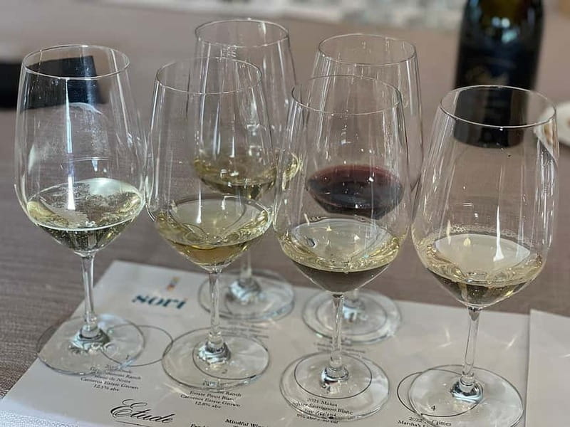 Discover Arrábida: Wine and Scenic Wonders - Starting Point and Transportation in Lisbon