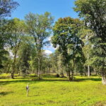 Discover Best of Sigulda and Gauja National Park In One Day - Hiking in Sigulda and Krimulda: Trails and Views