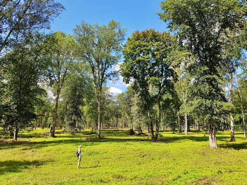 Discover Best of Sigulda and Gauja National Park In One Day - Hiking in Sigulda and Krimulda: Trails and Views