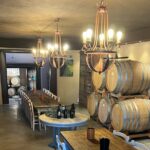 Discover Brunello Wines with DiWine Experience - Starting Point in Siena for an Easy Meet-Up