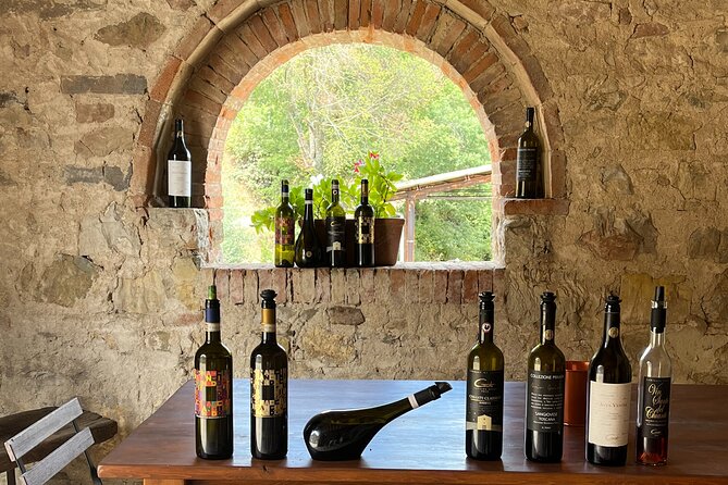 Discover Chianti Classico Wines DiWine Experience - Visiting Small Boutique Wineries in Chianti