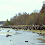 Discover Estonia-car tour from Tallinn to Keila-Joa Waterfal - The Starting Point and Tour Duration