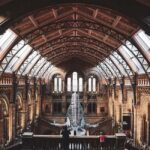 Discover Evolution at the Natural History Museum - Starting at the Iconic Diplodocus Skeleton in the Central Hall