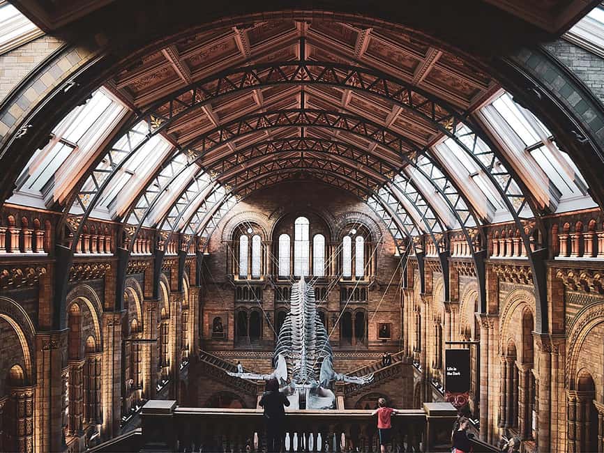 Discover Evolution at the Natural History Museum - Starting at the Iconic Diplodocus Skeleton in the Central Hall