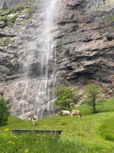 Discover Lauterbrunnen with Cheese & Chocolate Tasting Tour - Meeting Point and Logistics