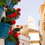 Discover Marbella's Old Town with five-star private tour - Exploring Alameda Park and Plaza Altamirano