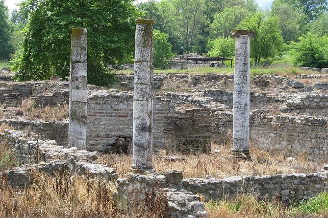 Discover Mount Olympus & Dion, Private Day Tour from Thessaloniki - Visiting the Archaeological Museum of Dion