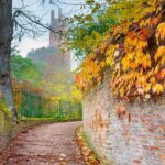 Discover San Miniato - Enjoying Local Flavors and Coffee Breaks