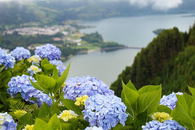 Discover São Miguel: Full Day Fogo and Sete Cidades with lunch - Exploring Lagoa do Fogo: A Volcanic Wonder