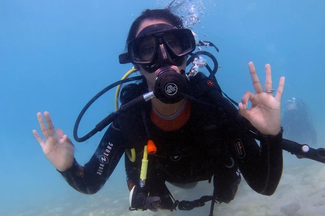 Discover Scuba Dive in Gran Canaria - What a Half-Day Diving Experience Looks Like
