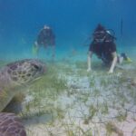 Discover Scuba diving - Starting Point: Ocean View Diving in Ayia Napa