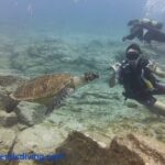 Discover Scuba Diving, free pictures included - The Underwater Scenery: Volcanic Formations and Marine Life